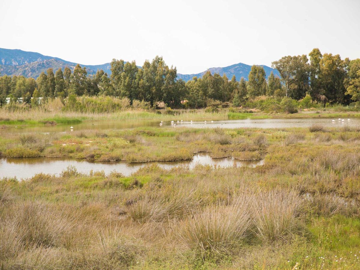 Camping Cala D'Ostia Pula Εξωτερικό φωτογραφία