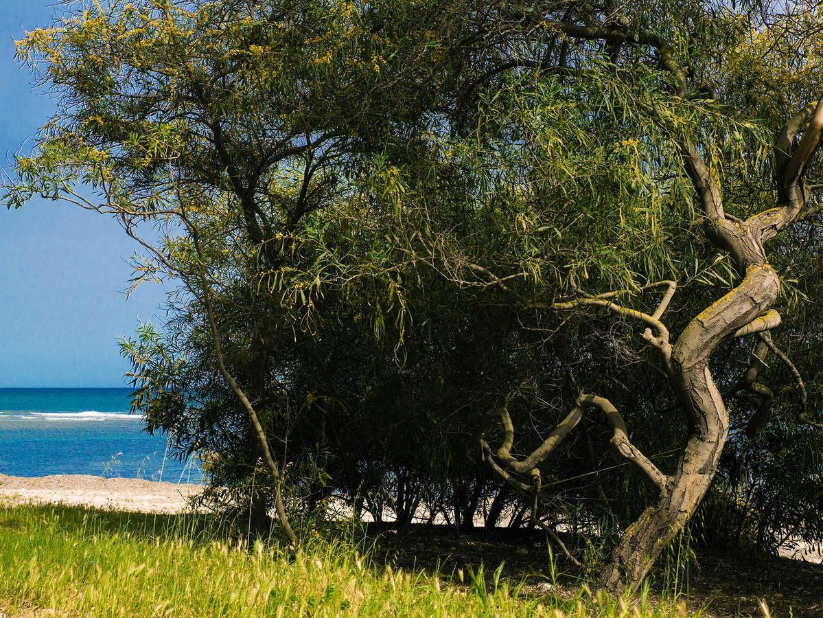 Camping Cala D'Ostia Pula Εξωτερικό φωτογραφία